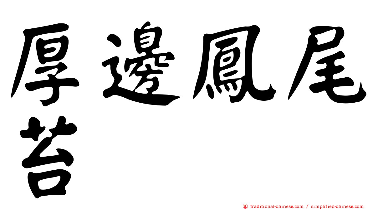 厚邊鳳尾苔