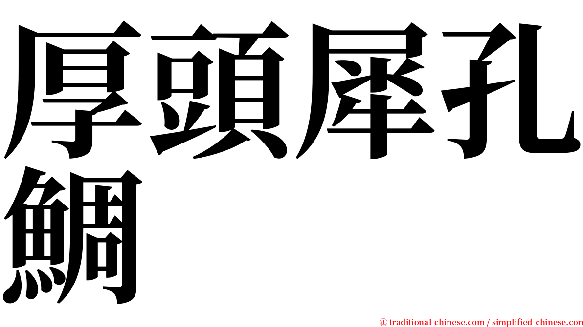 厚頭犀孔鯛 serif font