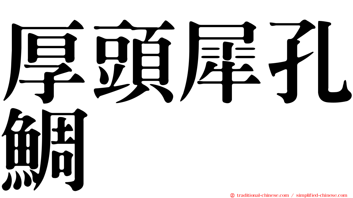 厚頭犀孔鯛