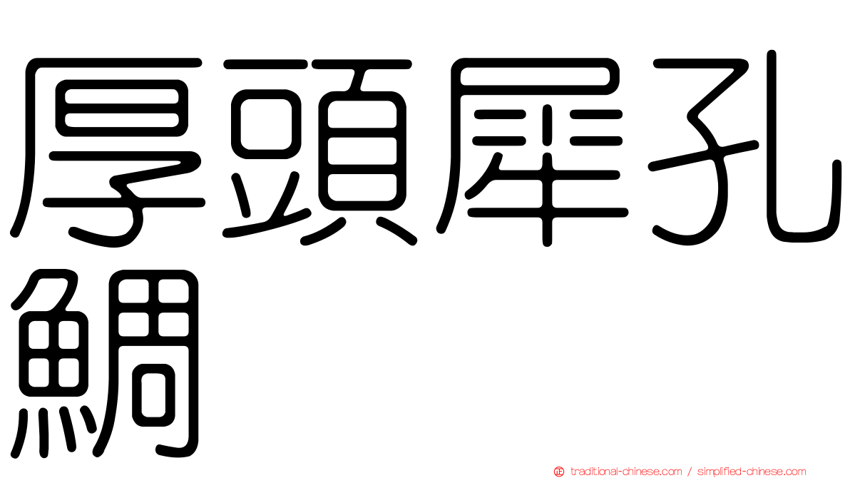 厚頭犀孔鯛
