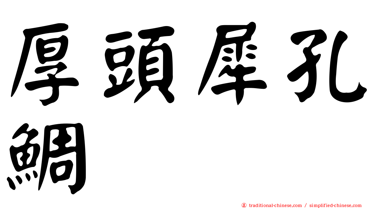 厚頭犀孔鯛