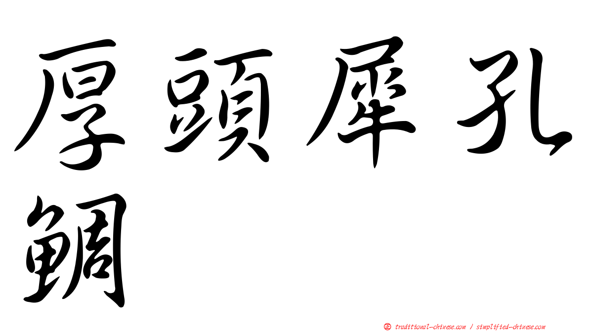 厚頭犀孔鯛