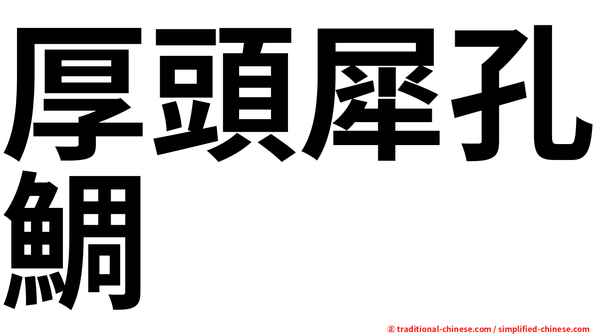厚頭犀孔鯛