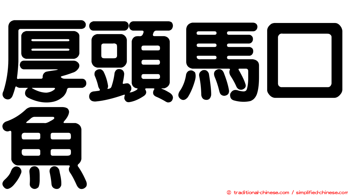 厚頭馬口魚