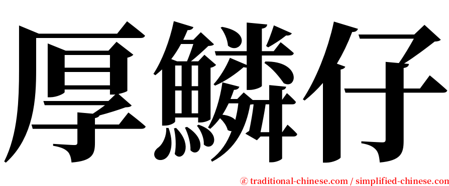 厚鱗仔 serif font