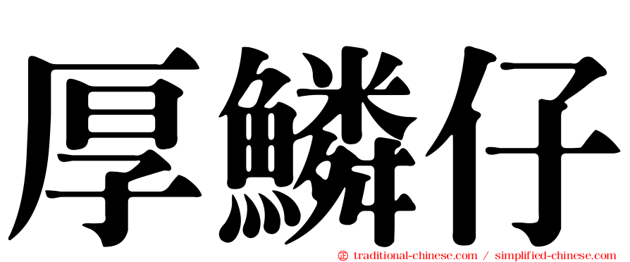 厚鱗仔