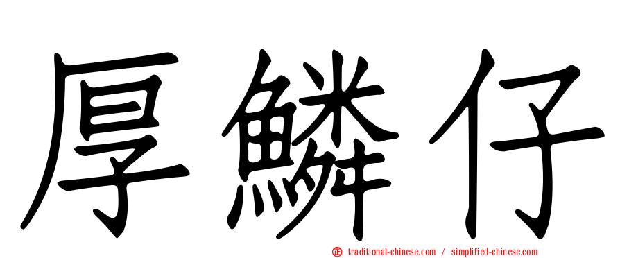 厚鱗仔