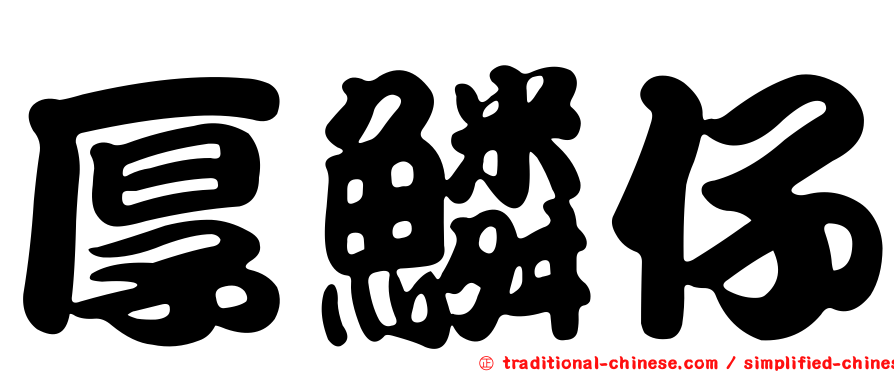 厚鱗仔