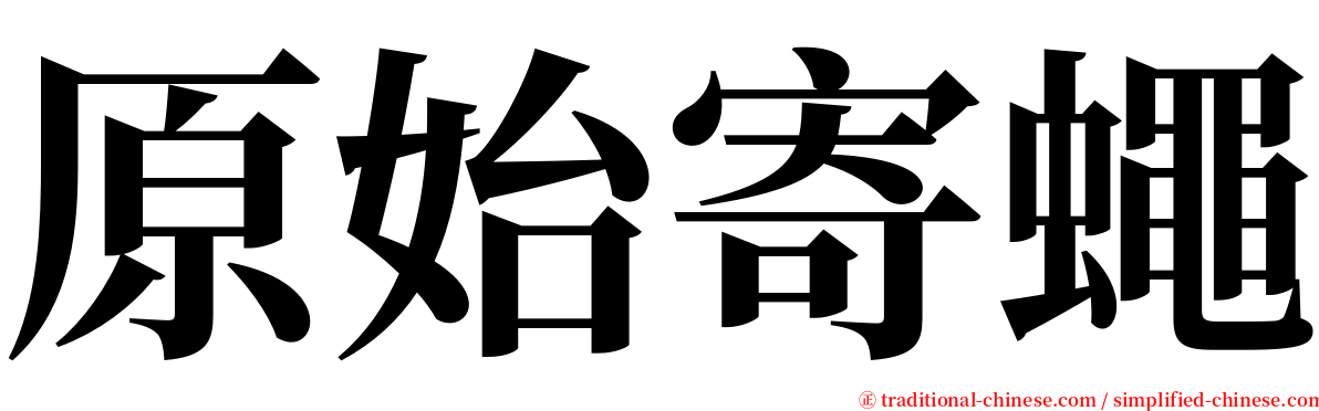 原始寄蠅 serif font