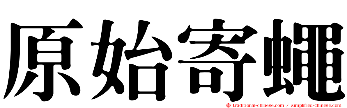 原始寄蠅