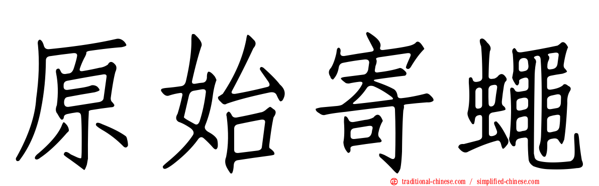 原始寄蠅