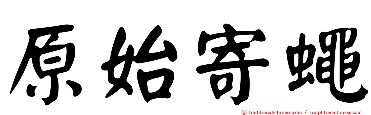 原始寄蠅