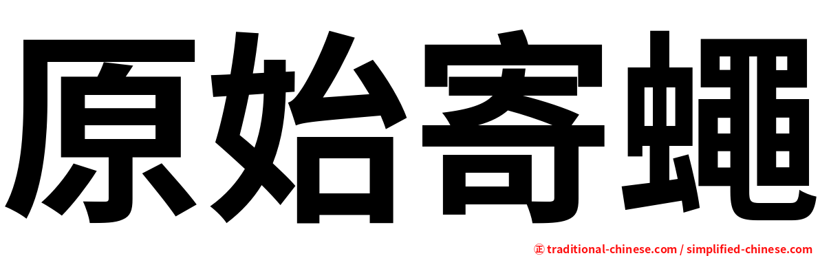 原始寄蠅