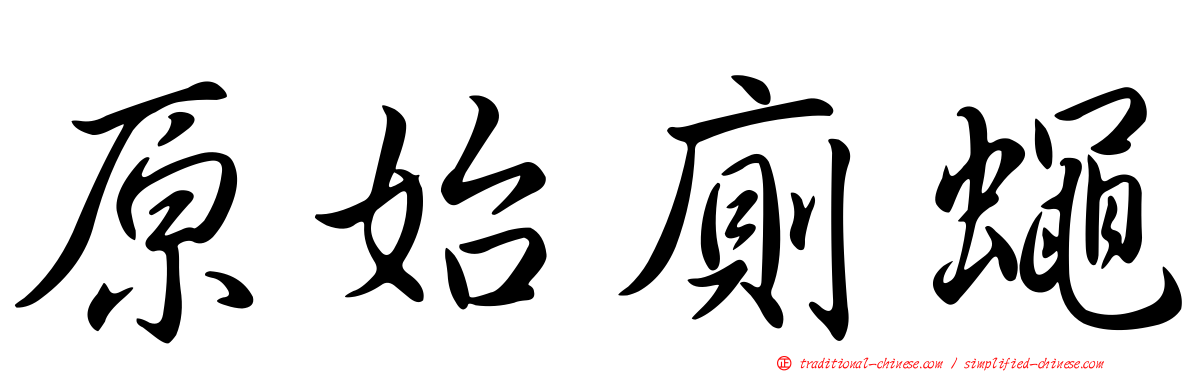 原始廁蠅