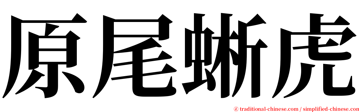 原尾蜥虎 serif font