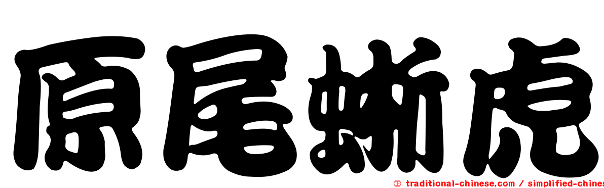 原尾蜥虎