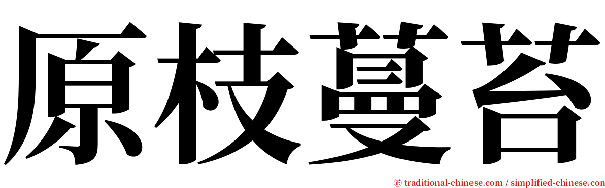 原枝蔓苔 serif font