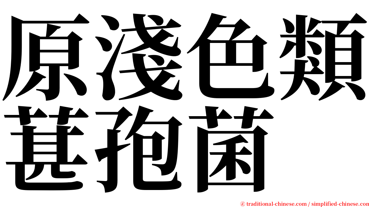 原淺色類葚孢菌 serif font