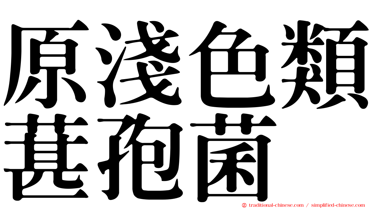 原淺色類葚孢菌