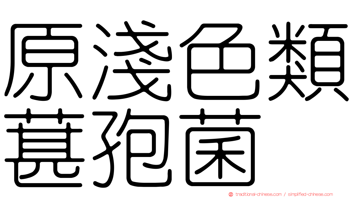 原淺色類葚孢菌