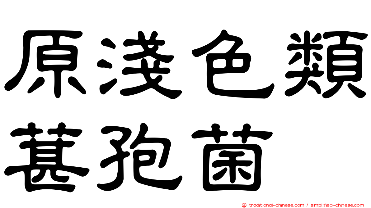原淺色類葚孢菌