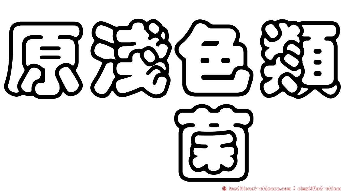 原淺色類葚孢菌
