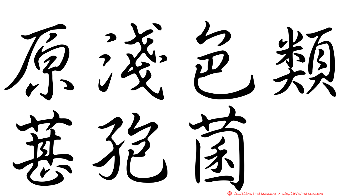 原淺色類葚孢菌