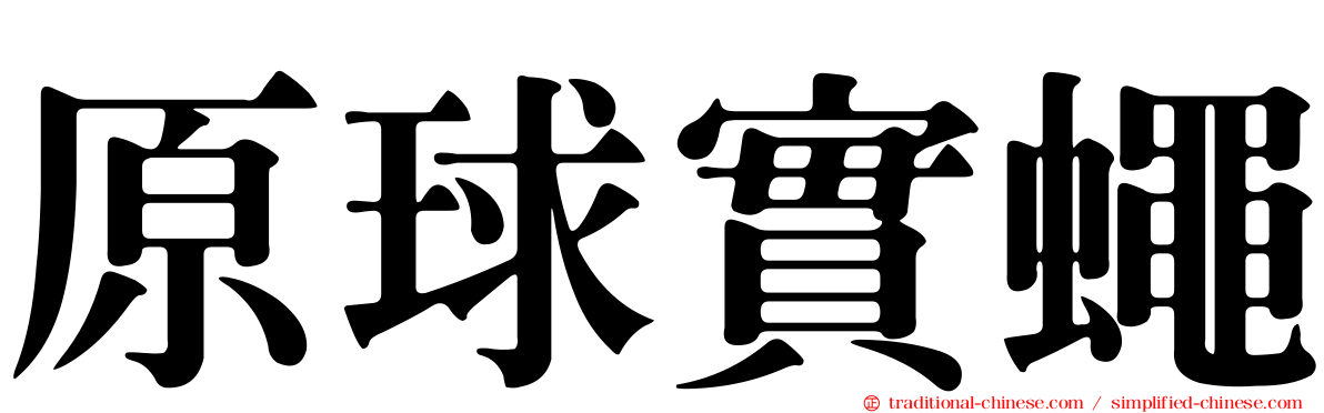 原球實蠅