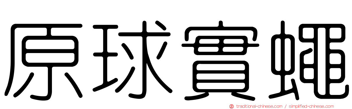 原球實蠅