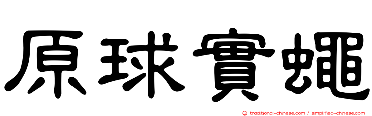 原球實蠅