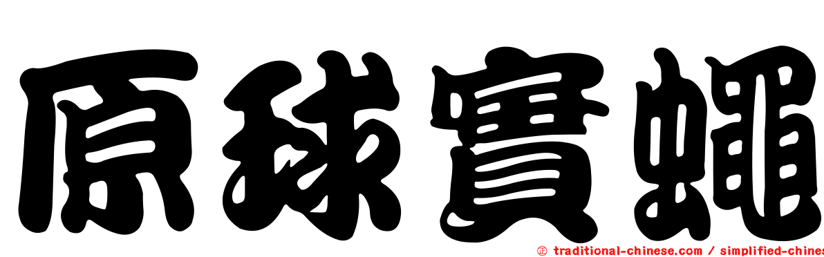 原球實蠅