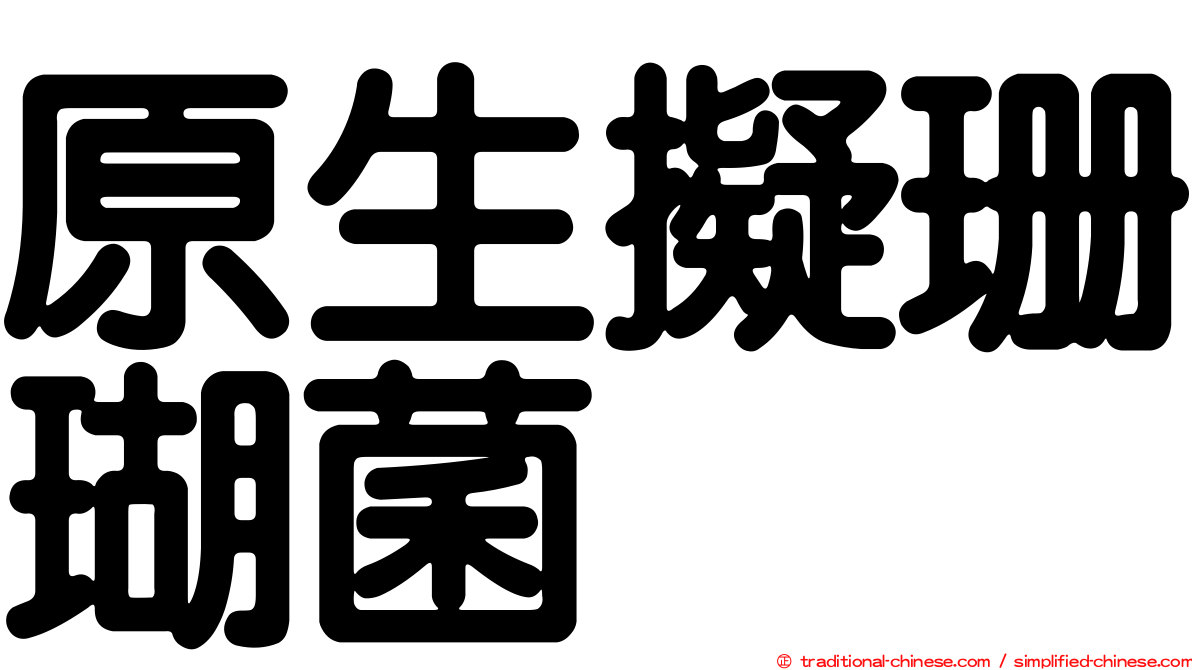 原生擬珊瑚菌
