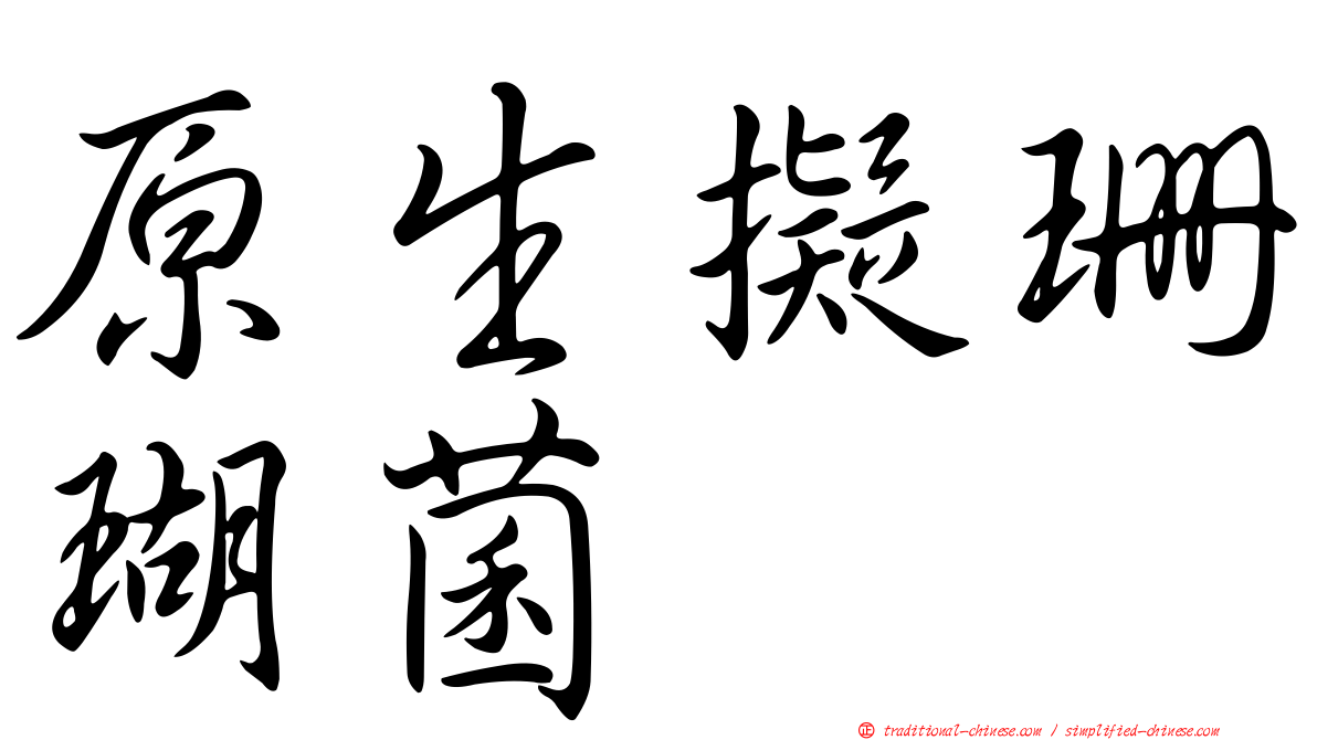 原生擬珊瑚菌