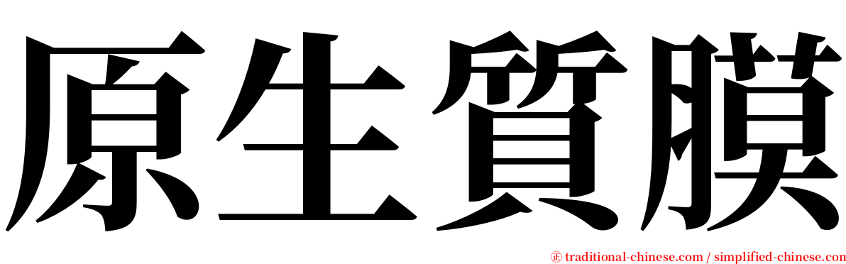 原生質膜 serif font
