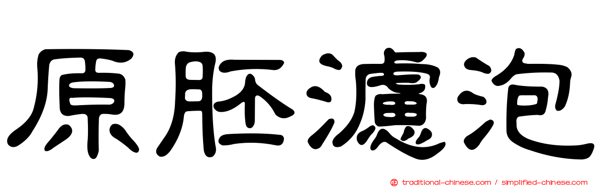 原胚濾泡