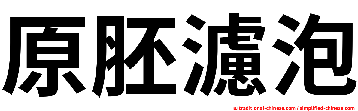 原胚濾泡
