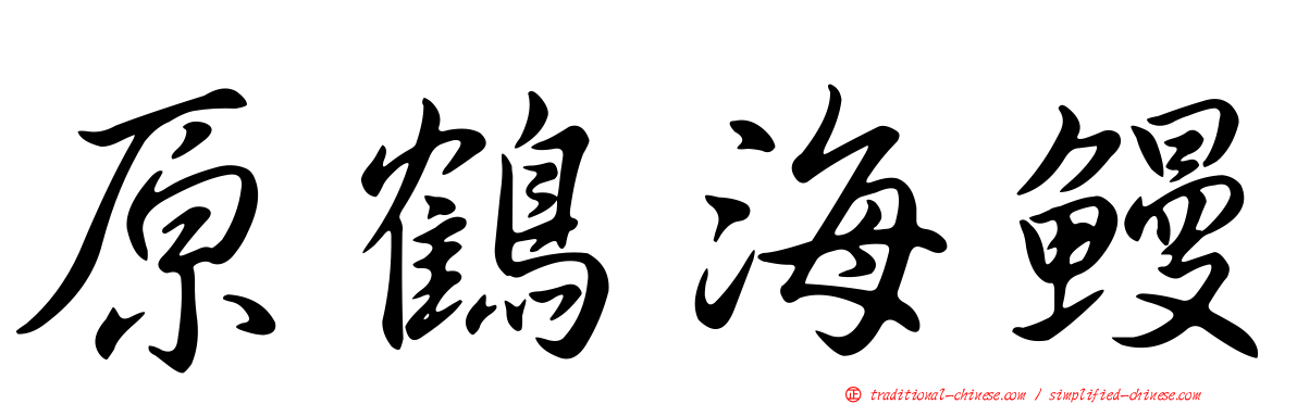 原鶴海鰻