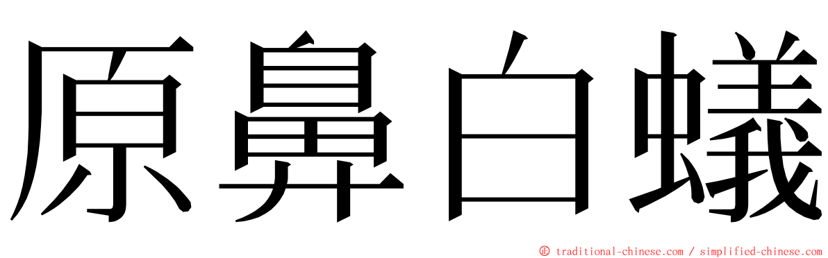 原鼻白蟻 ming font