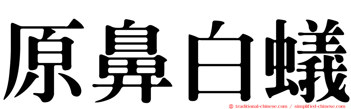 原鼻白蟻