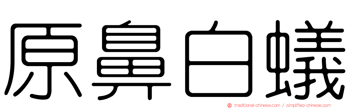 原鼻白蟻