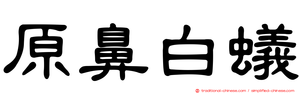 原鼻白蟻