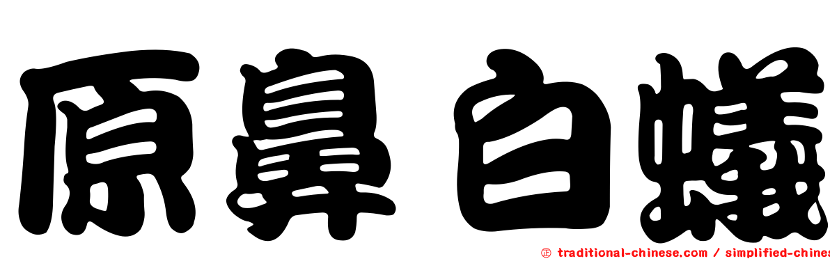 原鼻白蟻