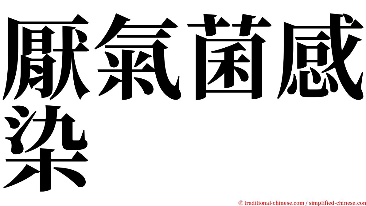 厭氣菌感染 serif font