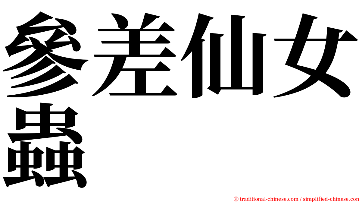 參差仙女蟲 serif font
