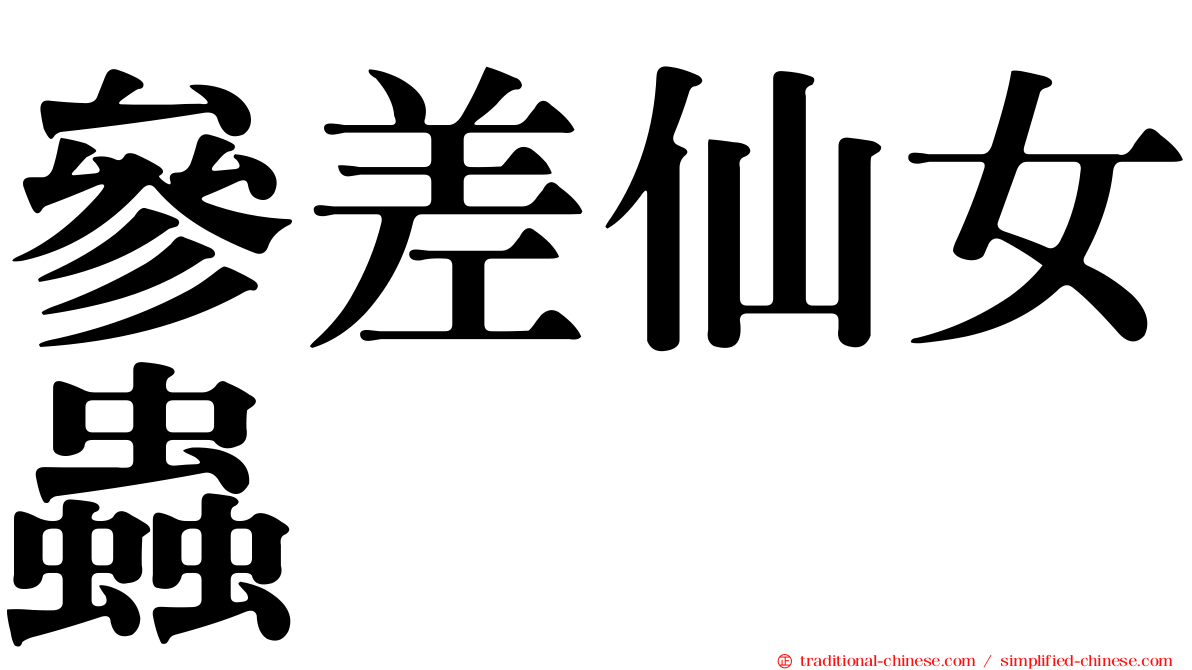 參差仙女蟲