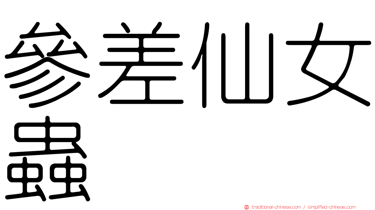 參差仙女蟲