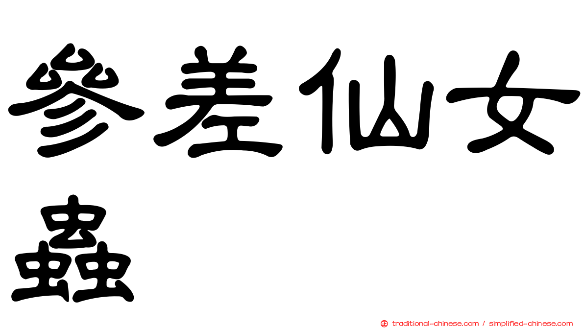 參差仙女蟲