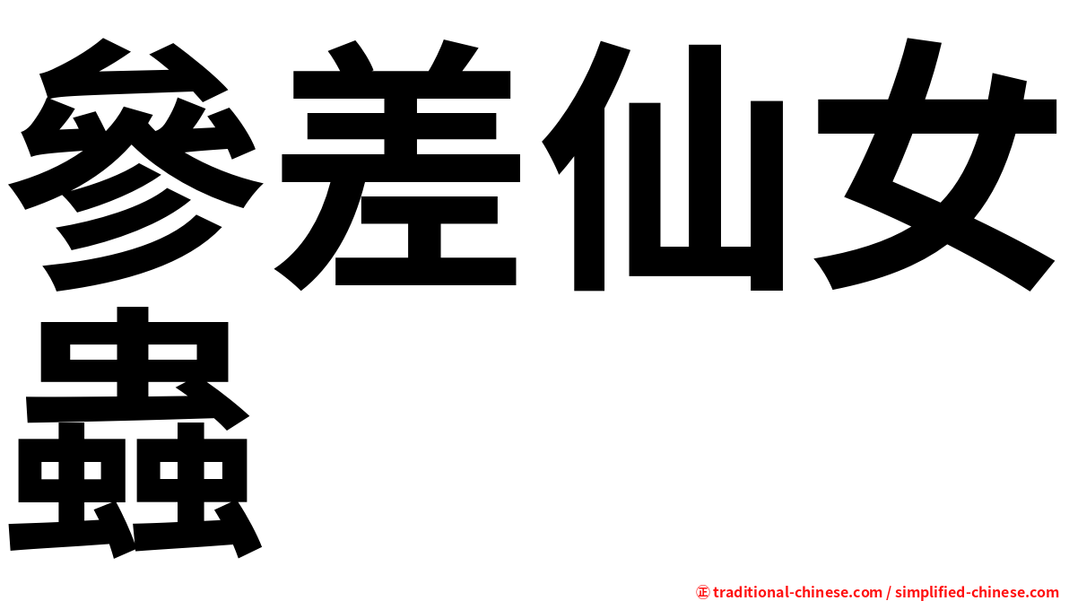 參差仙女蟲