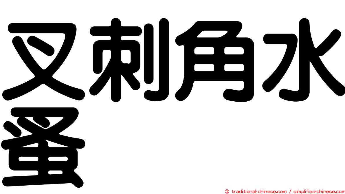 叉刺角水蚤