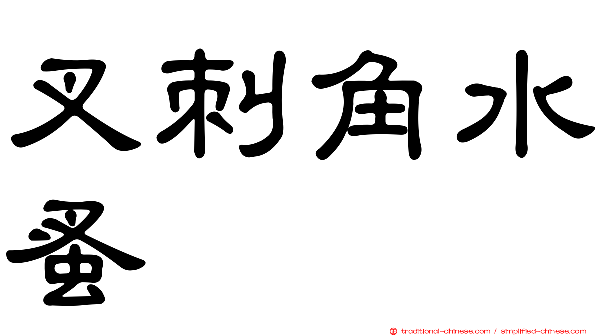 叉刺角水蚤